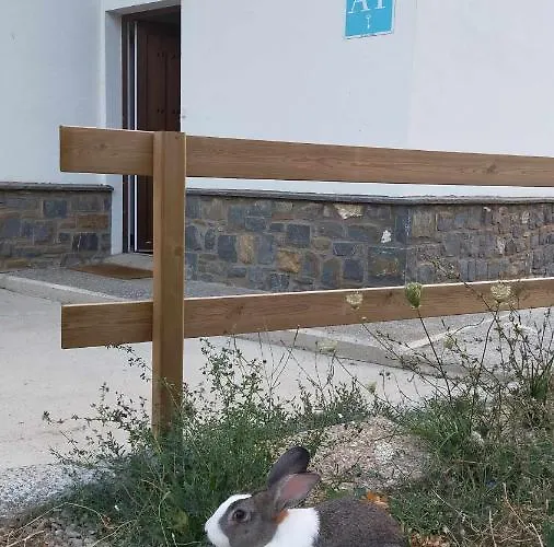 Casa Cotefablo Aloj Sorrosal Gavin, Biescas Lägenhet *